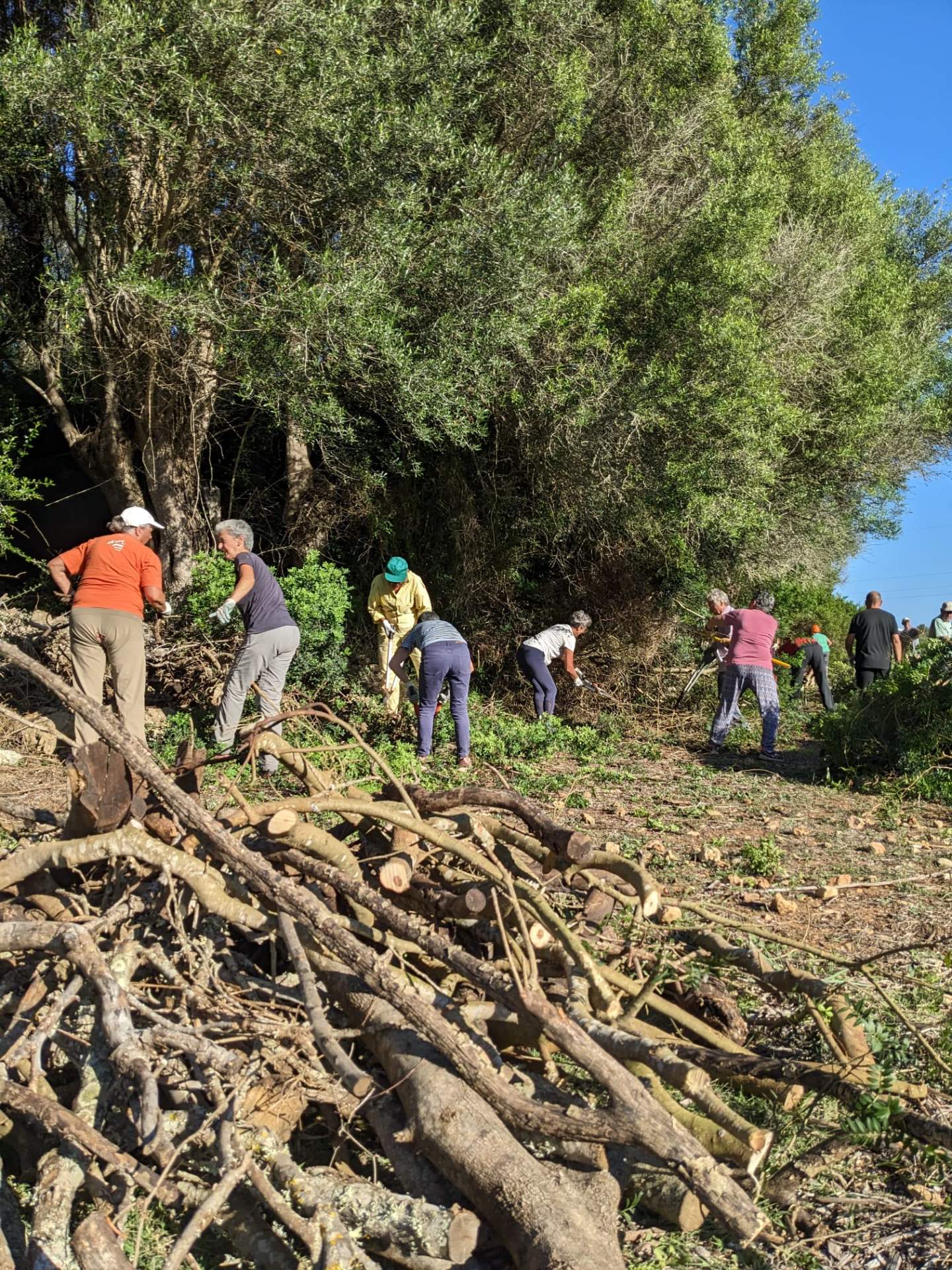 Imagen del territorio