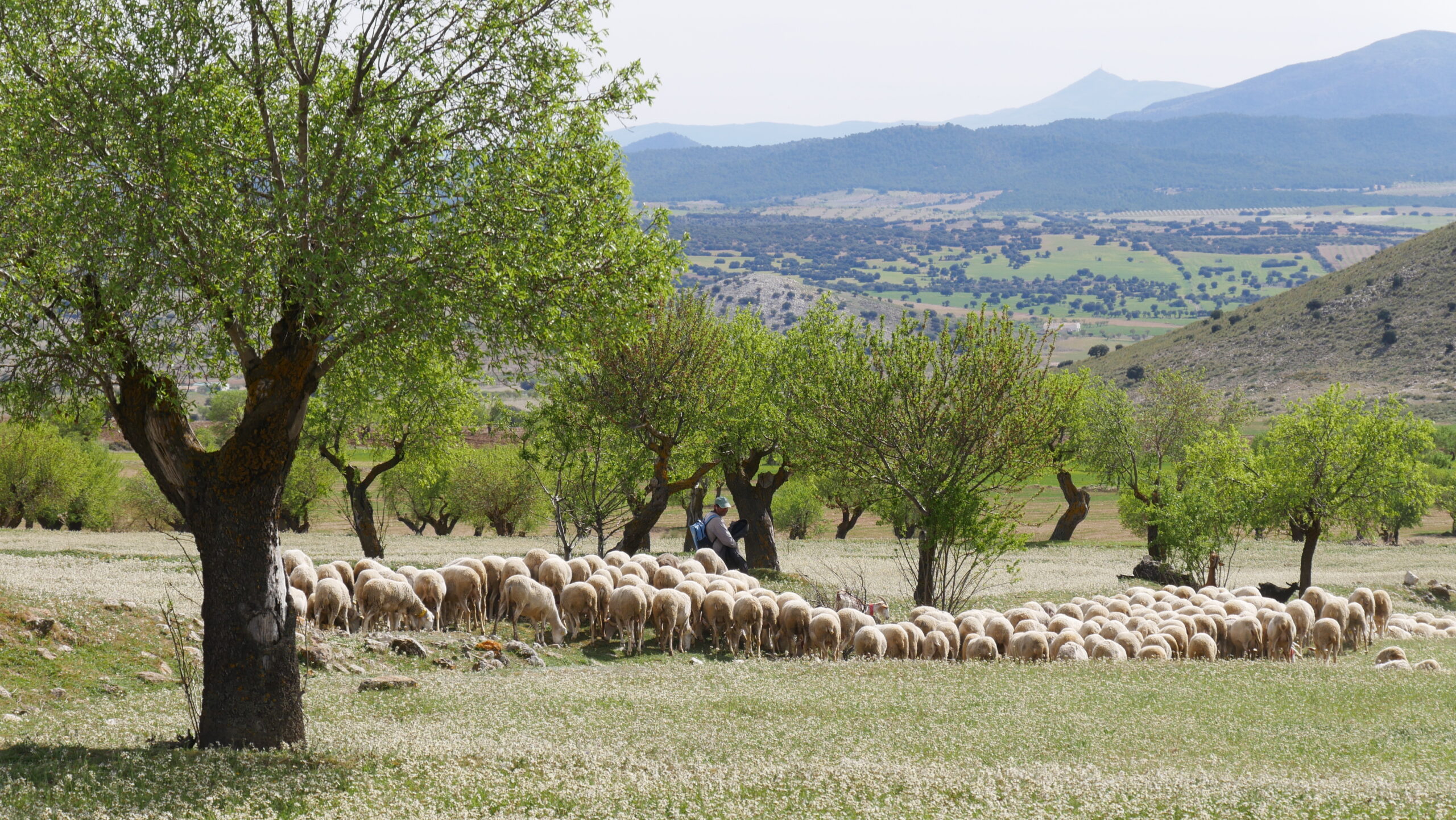 Imagen del territorio