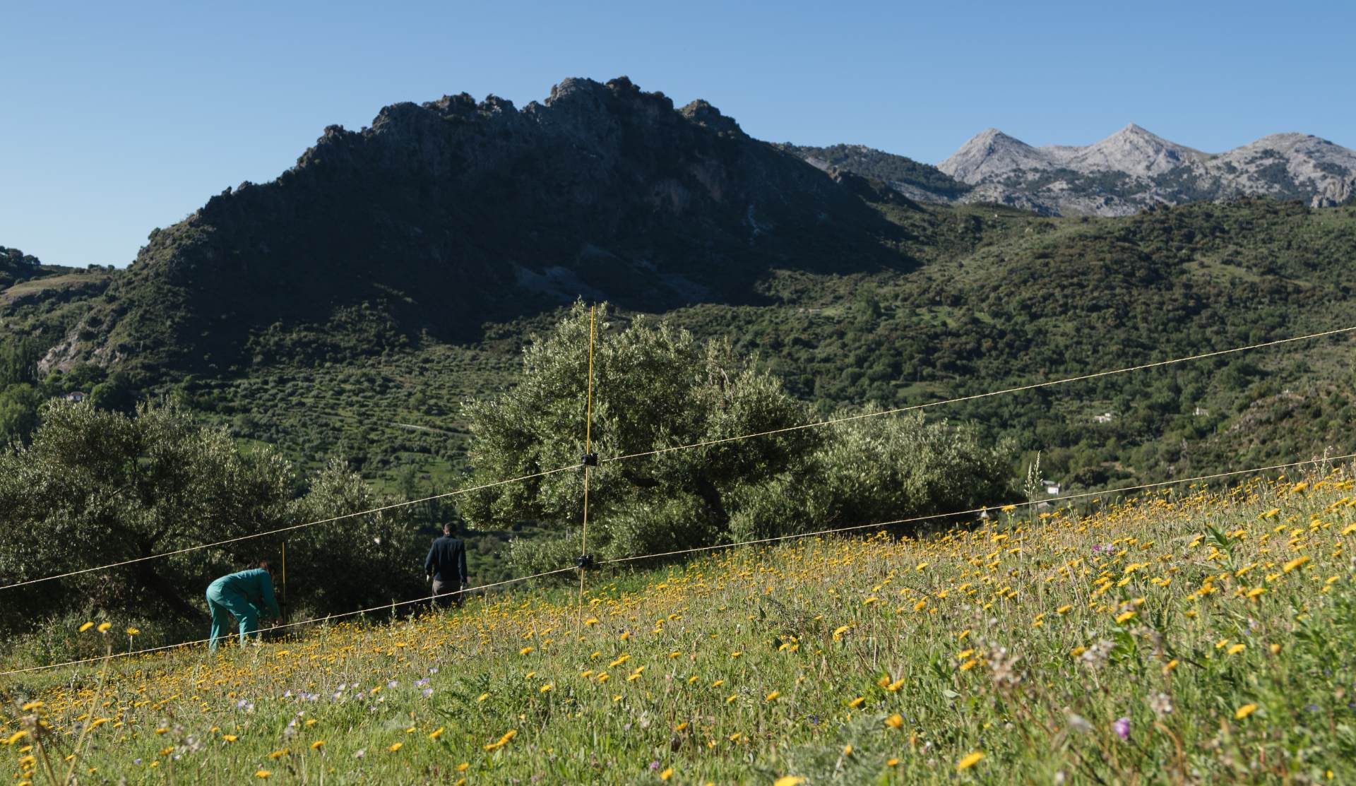 Imagen del territorio