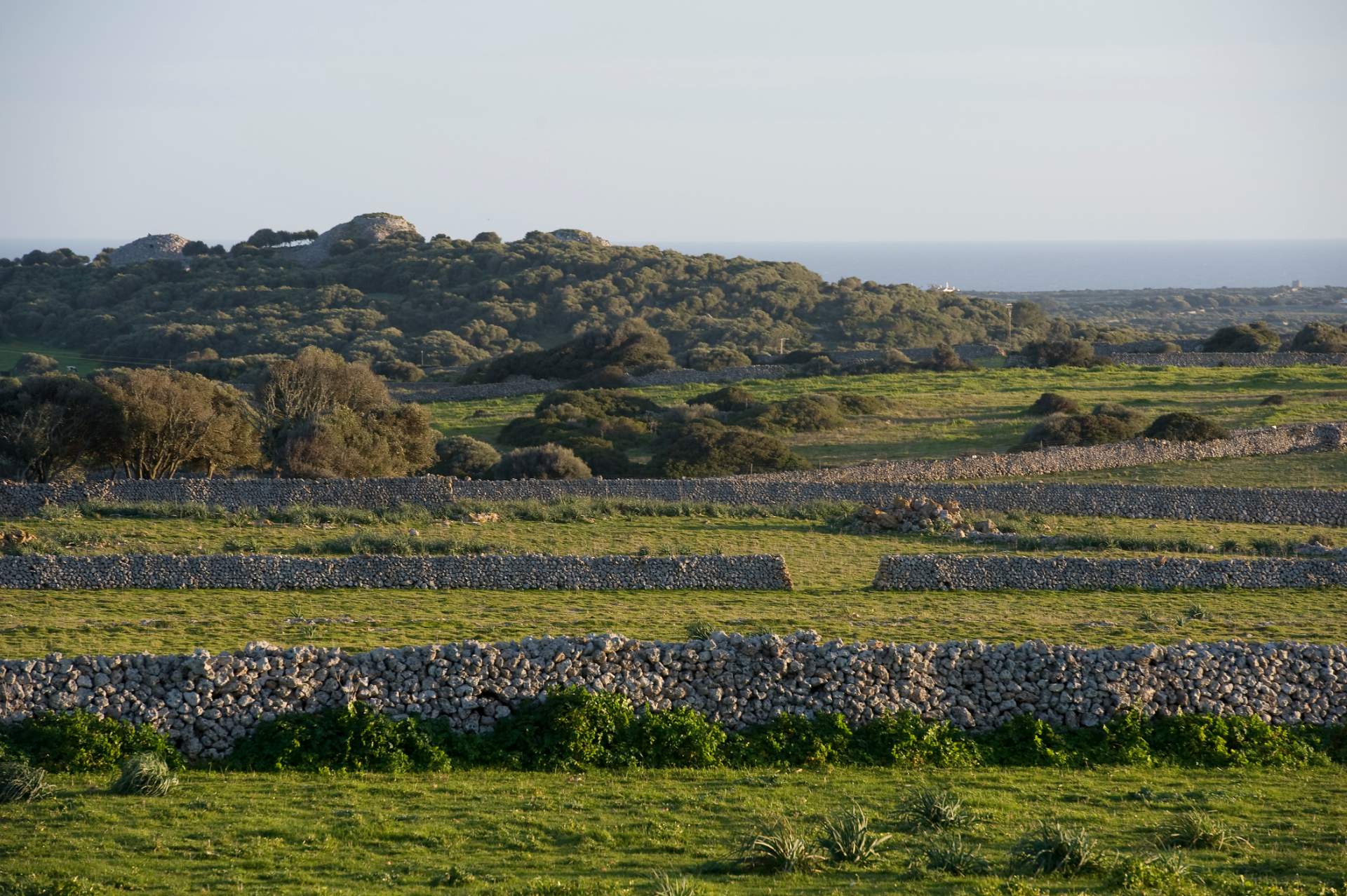 Imagen del territorio