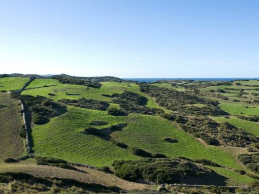 Gob Menorca