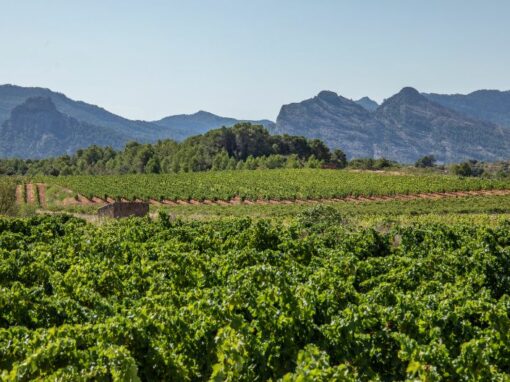 Terres del Ebre